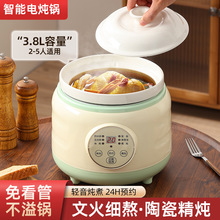 网红智能快速炖锅家用养生全自动炖汤煲汤炖锅多功能煮粥辅食锅