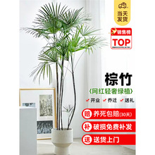 ��ɽ���������҃ȼ��~ֲ����;Gֲ�͏dС�~�������ռ�ȩ�ļ����B