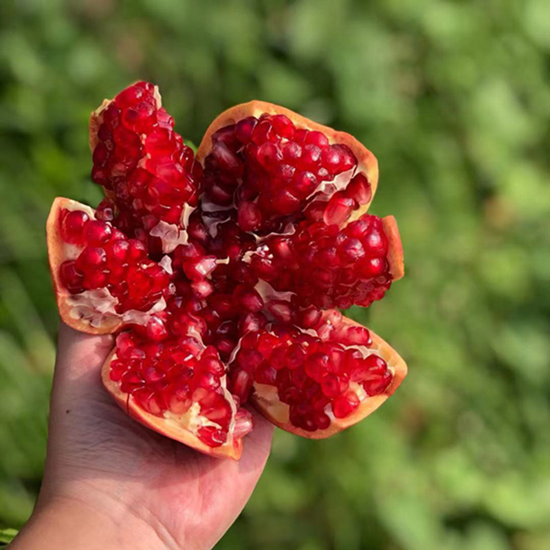 2bf38e11c1dcb338585417e3cc3ac1