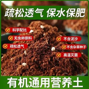 Nutrient soil for flower cultivation Universal special vegetable soil for planting green plant fleshy seedling raising household pot planting flower soil
