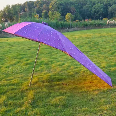 Elektromobil üçün ön şüşə çətiri (günlük) – Vehicle Canopy, Battery Vehicle Umbrella - silver-glue-bead-purple-single-umbrella-30-frame-straight-length-165m