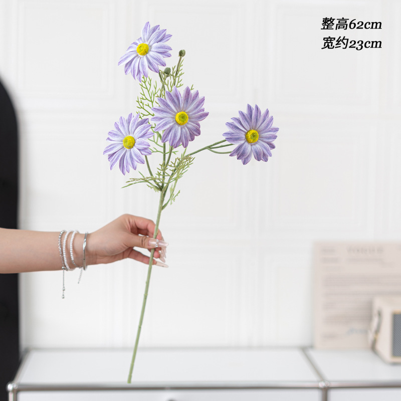 연한 보라색 느낌의 여름 국화 단일 가지