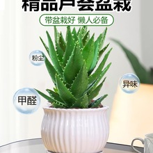 �J�C�����҃ȳ���ȩ�����՚�ֲ���k���������ƶ����ļ����B����