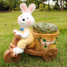 ��ͨ��������С���ӻ����̨���@�b[��¶̨����ͥԺ���쾰��