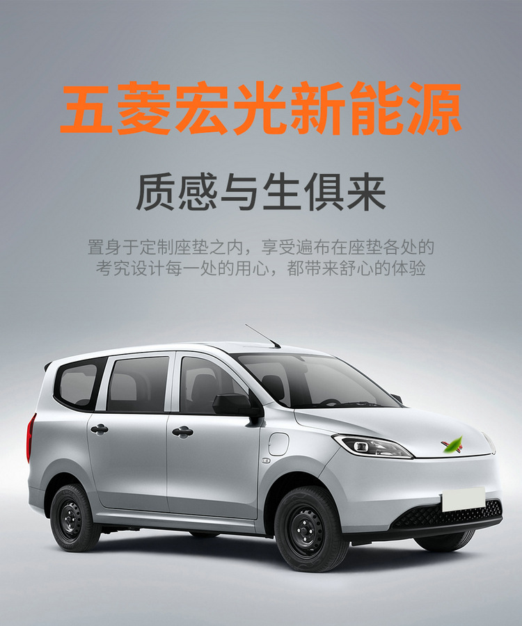 Wuling Hongguang EV New Energy Pure Electric Five-seat Special Seat Cover Yangguang Six-seat Passenger Transport Edition Four Seasons All-inclusive Seat Cover