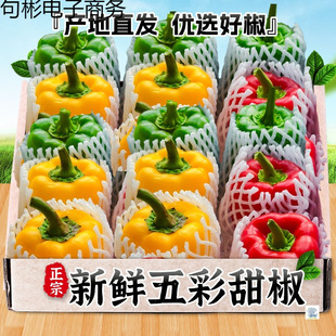 ���r����𽷉۹�a��ֱ�l����֭�����ԈA����ɫ����