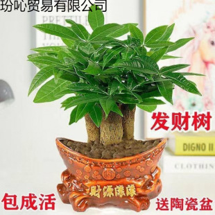 �lؔ�������Ϙ��͏d�k���҃Ȳ�����ˮ���B�����՚����ȩ�Gֲ���l