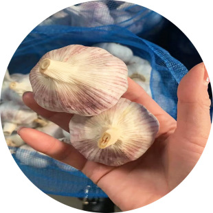 ���¼����^���г��ڴ��ӹ���ɽ�|�s����t�������l���r����