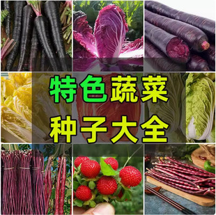 Featured High-Quality Vegetable Seeds, Melons, Fruits, Snake Berries, Cabbage, Radish, Wild Vegetables, Original Authentic Vegetable Seeds