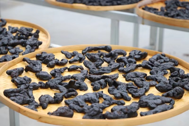 Huang Jing Polygonatum Rhizome Nine Times Steamed and Sun Dried Ready to Eat Slices for Tea and Cooking 500g key features