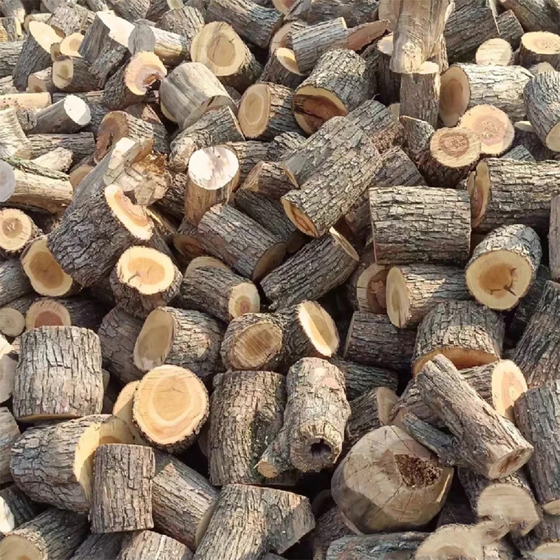 Firewood for Outdoor Camping, Bonfires, Fireplace Wood, Fruitwood, Household Firewood, Burning Wood, Firewood for Burning Stoves