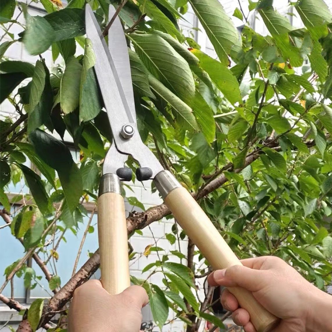 tijeras de jardinería setos cortador de césped jardín cortador de ramas verde tijeras extensibles ramas gruesas cortador de césped venta directa