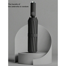 T 28912 24-rib automatic umbrella 24 ���Զ�����ɡ�羳��