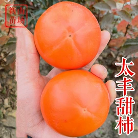 园林果树;乔木;灌木