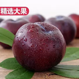 方便面类;膨化;面筋制品