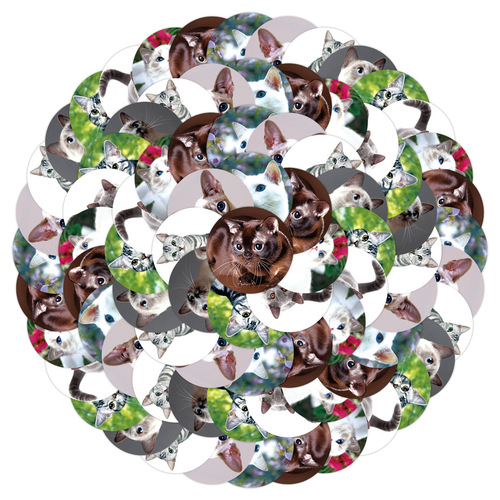 Cat Sticker Gift Pack of 500 Sheets in 1 Roll with Self-Adhesive Circular Labels