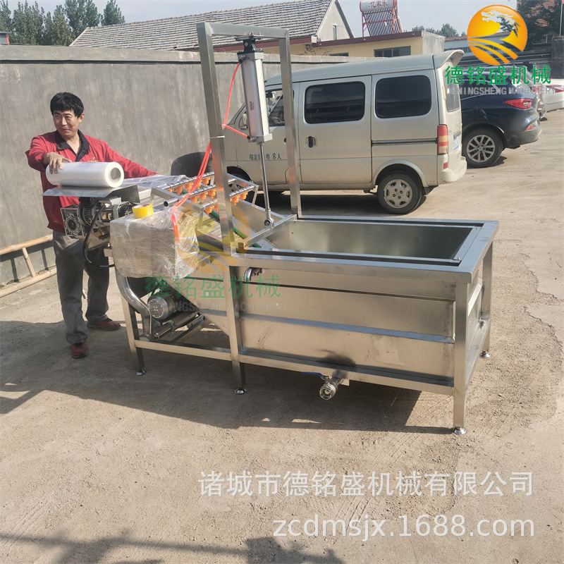 带鱼罐头成套设备 带鱼段气泡清洗机 虎皮凤爪鸡爪子清洗机