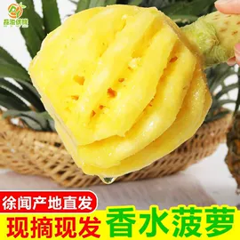 膨化;方便面类;节庆用品