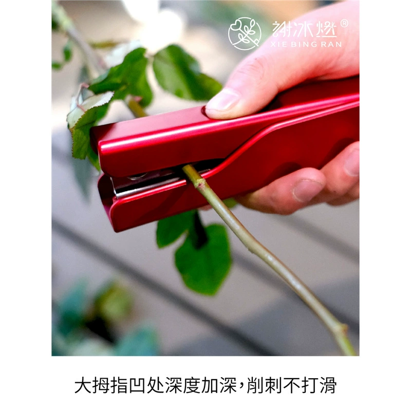 Щипцы для шипов, средство для удаления шипов роз для цветов, прочный железный инструмент «сделай сам» для роз, гладкий и чистый.