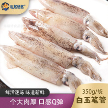 新鲜野生笔管鱼海兔海兔灯光小鱿鱼一口鱿鱼生鲜冷冻商用袋装