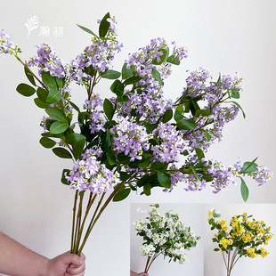 ����ʽ�ҾӲ��÷��涡�㻨���滨 �����[����֦��ǧ�����Y