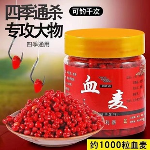 Ѫ���ڿ�Ұ��D����~С����������~�w���a�~���~��D�O�D���l