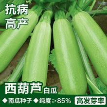 �����J�ϷN�Ӹ߮a����׹��r���߲˷N�Ӵ��ļ��˹��̨С�Ϲ�