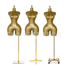 BBL ���������ɫ�W����aŮģ�ز����w�S���ϰ���������������