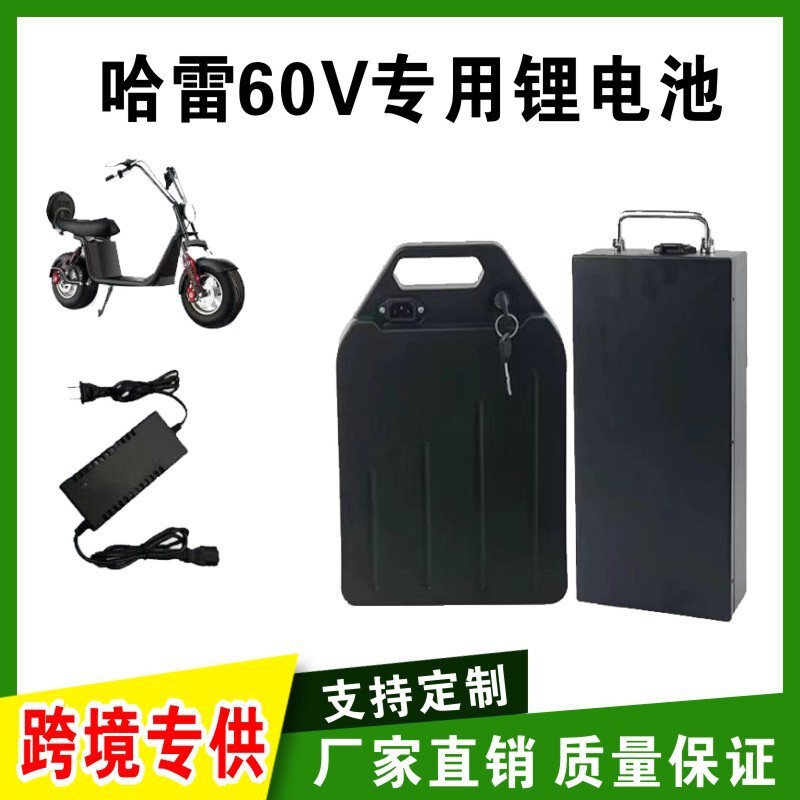 18650 Power Lithium Battery Pack Suitable for Harley 60V Electric Vehicle Motorcycle Battery Replacement with Bms