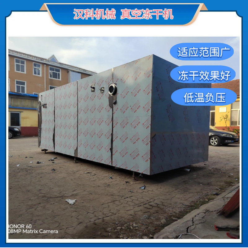 FD-50㎡真空冻干机 草莓芒果低温干燥设备 蛋白粉真空干燥机