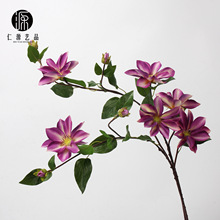 ���Sֱ�N �F��ɏ�ָб�����滨 ���l��ˇ��Ȼϵ��c�Ҿ��b���