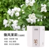Scented Candle [1 Box] Breeze Jasmine