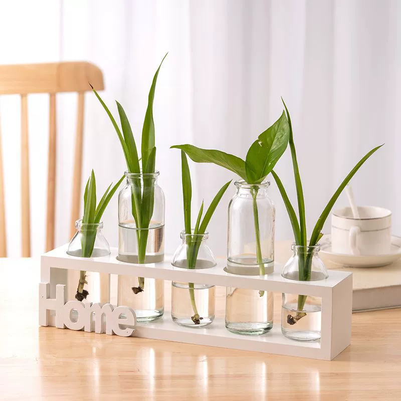 Ваза в стиле инс с гидропонными растениями в виде зеленого редиса, стеклянная цветочная композиция, украшение для рабочего стола в небольшой офисной комнате, декор в стиле инс для выращивания растений в воде.