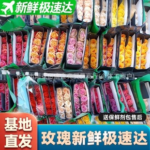 Direct Shipment from Yunnan Kunming Flower Base: Roses, Lilies Bouquets, Fresh-Cut Sunflower Flowers for Home Use, Direct Wholesale for Hydroponic Cultivation