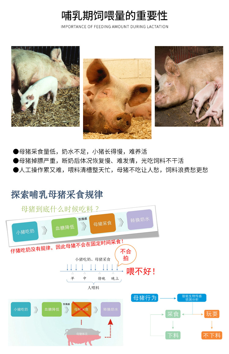 智能母豬飼喂器詳情3_13.jpg