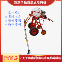 ʽșC ӺșͲ/Ϳx С׻șćFC