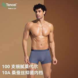 100S天丝莫代尔男士内裤轻薄透气10A抑菌蚕丝内档内裤男四角内裤