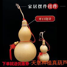 ֮�ⰲ���T���T�����_�ں��J���۷x���P�ҾӔ[����Ȼ�M�����J���