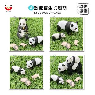 ��ͯ�����J֪�������ģ�ʹ���؈���L�������b�o�B�[����؈���