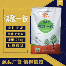 ��������������@ 99%�r�I������һ�@�w����һ�rʮ ����һ�@