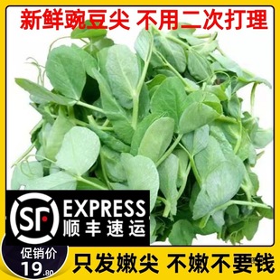 ��S���]�Fժ�Ĵ����r�㶹���㶹��r���߲ˑ����߲��󜫻��ʳ��