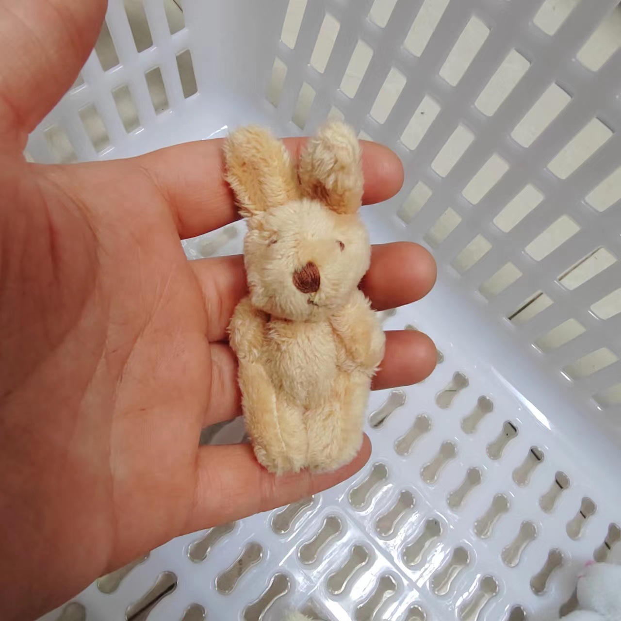 微信图片_20240306115029