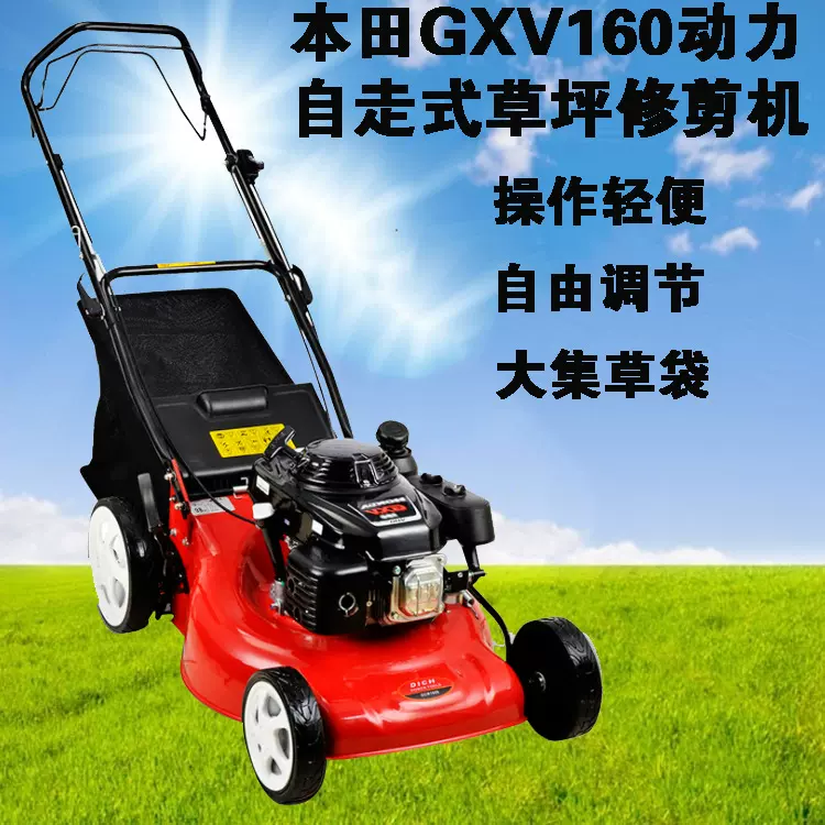 市政园林绿化自走式草坪机公园草坪修剪设备手推式除草割草碎草机