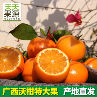 Guangxi wuming Woli Mandarin 9 Catties of Great Wo Orange Cheer Fresh Arvely и теперь выбирает сезонные фрукты оптом