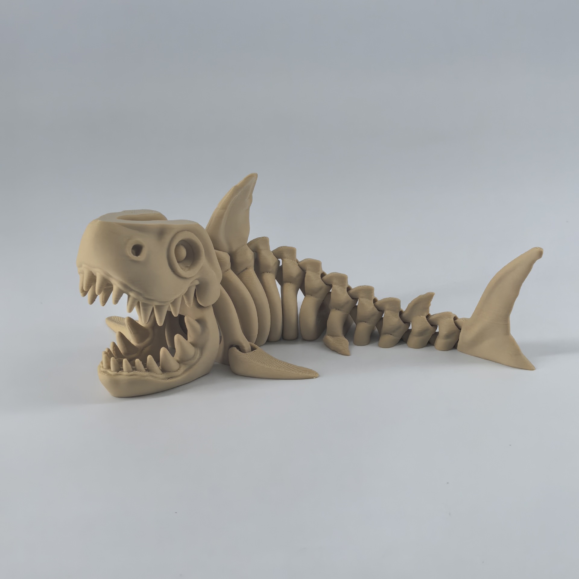 상어 - 고전적인 화석 색상