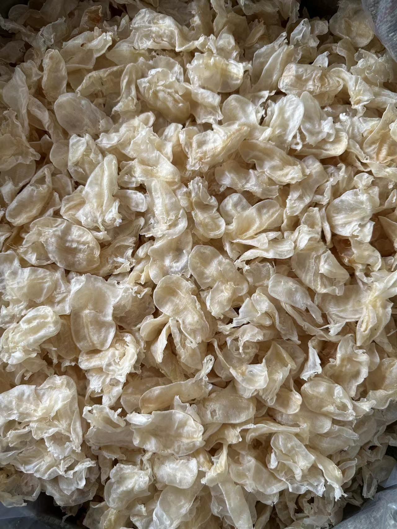 微信图片_20230212151234