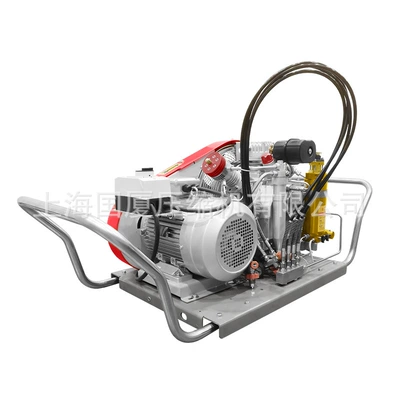 Hava kompressorları Air Filling Pump Djw-400