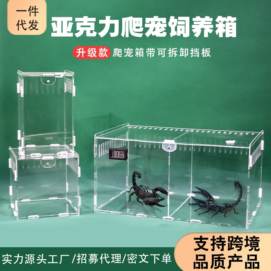 Акриловые прозрачные домашние животные рептилии Коробка для разведения паука