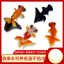 С���~���~�^�p�~��ˮ��ˮ�t�~�\���~���B�ͻ����\���^������~