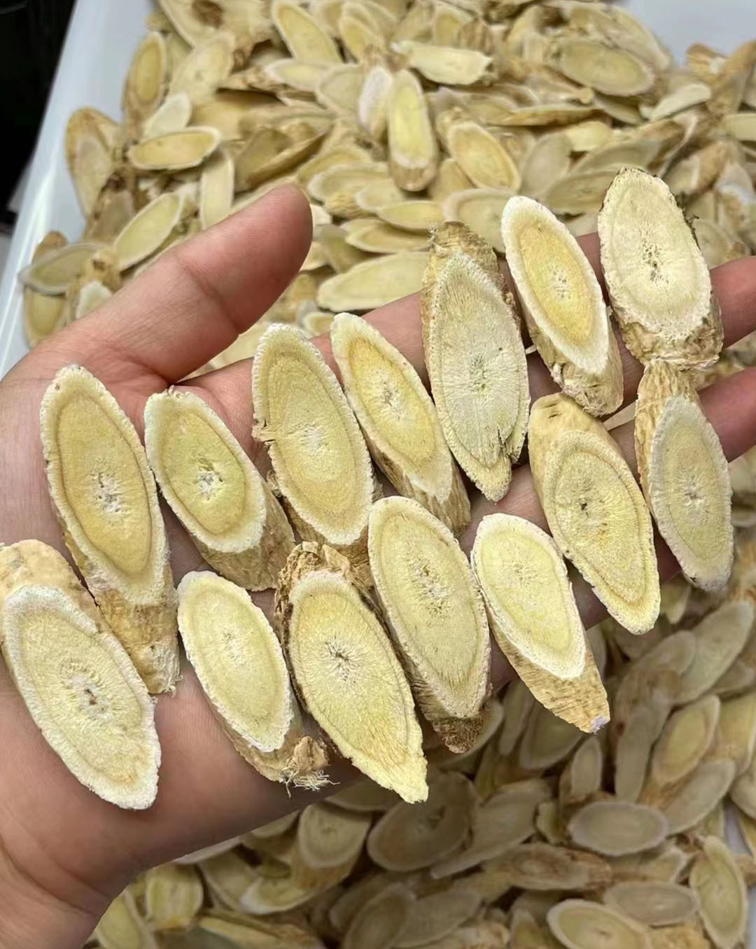 Astragalus Root Slices Huang Qi 250g Gansu Dried Herb for Tea Soup and Decoction specifications